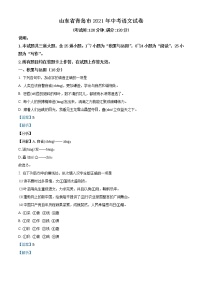 初中语文中考复习 精品解析：山东省青岛市2021年中考语文试题（解析版）