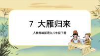 初中语文人教部编版八年级下册大雁归来完美版说课课件ppt