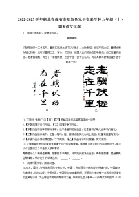 2022-2023学年湖北省黄石市阳新县光谷实验学校九年级（上）期末语文试卷（含答案解析）