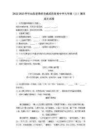 2022-2023学年山东省菏泽市成武县育青中学九年级（上）期末语文试卷（含答案解析）