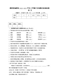 湖南省新邵县2022-2023学年八年级上学期期末质量检测语文试卷