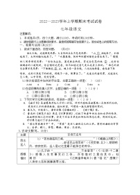 河南省新乡市长垣市2022-2023学年七年级上学期期末考试语文试题(含答案)