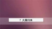 人教部编版八年级下册大雁归来集体备课ppt课件