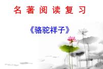 初中语文人教部编版七年级下册名著导读《骆驼祥子》：圈点与批注授课课件ppt