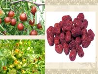 人教部编版九年级下册19 枣儿教课内容ppt课件