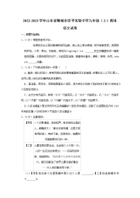山东省聊城市茌平区实验中学2022-2023学年九年级上学期期末考试语文试题(含答案)