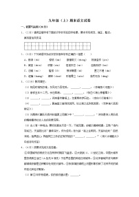 人教版语文九年级上册期末模拟精品试卷（含答案）