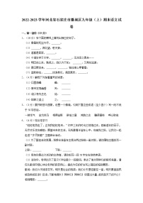 河北省石家庄市藁城区2022-2023学年九年级上学期期末考试语文试卷