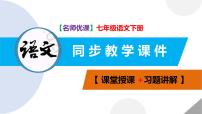 初中语文人教部编版七年级下册14 叶圣陶先生二三事精品课件ppt