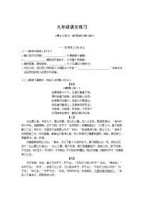 2023年上海闵行区九年级一模语文试题含答案解析