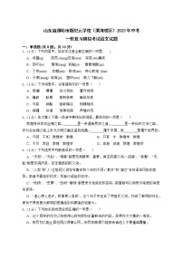 2023年山东省潍坊市新纪元学校（滨海校区）中考一轮复习模拟考试语文试题