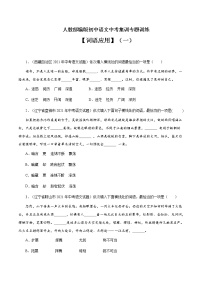 专题2 词语运用（一）-中考语文基础知识+考点集训专题训练