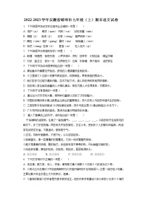 2022-2023学年安徽省蚌埠市七年级（上）期末语文试卷(含答案解析)