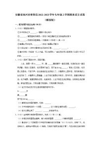 安徽省池州市青阳县2022-2023学年七年级上学期期末语文试卷(含答案)
