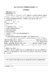 河南省漯河市舞阳县2022-2023学年九年级上学期期末语文试题(含答案)