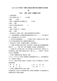 考点2 词语（成语）的理解与运用（期中备考）-2022-2023学年七年级下册语文期中期末考试高频考点专题训练（部编版）