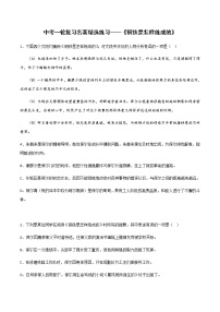 中考语文名著复习--《钢铁是怎样炼成的》精选练习