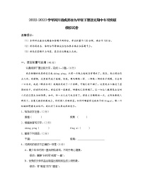 2022-2023学年四川省成都市九年级下册语文期中专项突破模拟试卷（含解析）