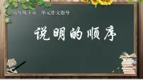 初中语文写作 说明的顺序优秀课件ppt