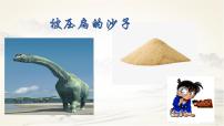 语文第二单元6 阿西莫夫短文两篇被压扁的沙子优秀课件ppt