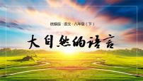 人教部编版八年级下册大自然的语言完美版课件ppt