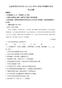 精品解析：山东省枣庄市市中区2020-2021学年七年级下学期期中语文试题