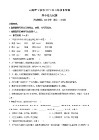 精品解析：云南省玉溪市2020-2021学年七年级下学期期中语文试题