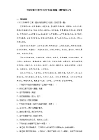 2023年中考文言文专项训练《醉翁亭记》