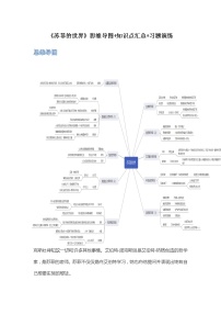 《苏菲的世界》（原卷版+解析版）-初中语文名著导读之思维导图+知识点汇总+考点速记+习题演练