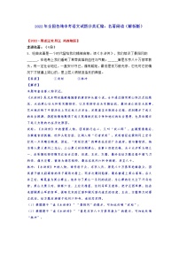2022年全国各地中考语文试题汇编：名著阅读（解析版）