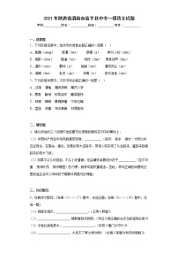 2021年陕西省渭南市富平县中考一模语文试题（含答案）