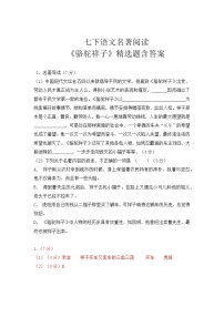 初中语文人教部编版七年级下册名著导读《骆驼祥子》：圈点与批注当堂检测题
