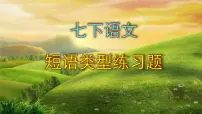 七下语文短语练习题含答案课件PPT