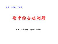 期中综合检测题 2022-2023学年八年级语文下册习题课件（部编版）