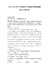 语文（重庆卷02）——2022-2023学年语文八年级下册期中综合素质测评卷（含解析）