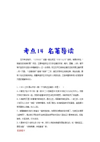 中考语文一轮复习考点练习14 名著导读 (教师版)