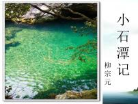 语文八年级下册小石潭记备课课件ppt