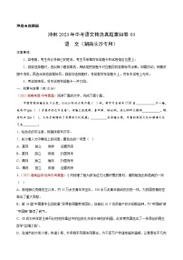 真题重组卷03-冲刺2023年中考语文精选真题重组卷（湖南长沙专用）