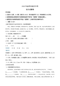 浙江省金华、丽水、义乌2020年中考语文试题（教师版）