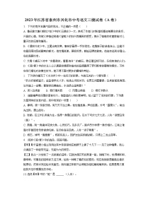 2023年江苏省泰州市兴化市中考语文三模试卷（A卷）（含答案解析）