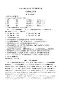 湖北省武汉市东西湖区2022-2023学年七年级下学期期中语文试题（含答案）
