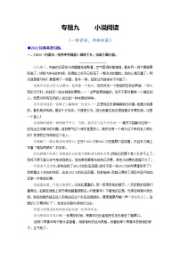 专题九 小说阅读-2023年中考语文毕业班二轮热点题型归纳与变式演练(全国通用)