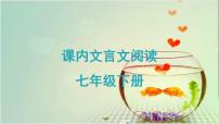 2023学年人教版七年级下册基础知识 期中复习:课内文言文阅读课件PPT