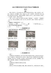 2023年浙江省绍兴市嵊州市中考一模语文试题