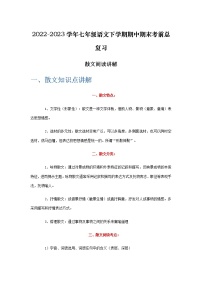 散文阅读讲解-2022-2023学年七年级语文下学期期中期末考前单元复习+专项练习+模拟金卷（部编版）