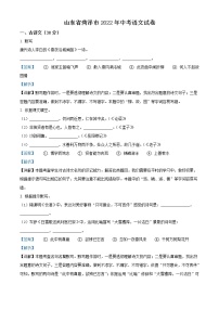 2022年山东省菏泽市中考语文真题（解析版）
