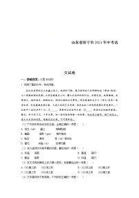 精品解析：山东省济宁市2021年中考语文试题（解析版）