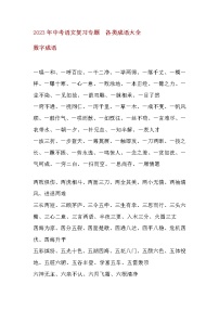 2023年中考语文复习专题  各类成语大全（素材）