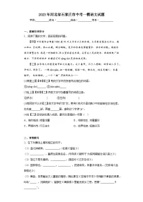 2023年河北省石家庄市中考一模语文试题(含答案)