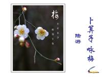初中人教部编版卜算子咏梅教课内容课件ppt